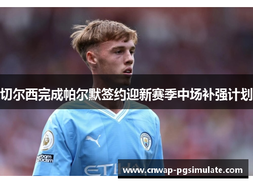 切尔西完成帕尔默签约迎新赛季中场补强计划