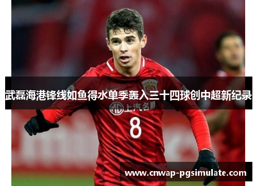 武磊海港锋线如鱼得水单季轰入三十四球创中超新纪录 武磊海港锋线如鱼得水单季轰入三十四球创中超新纪录